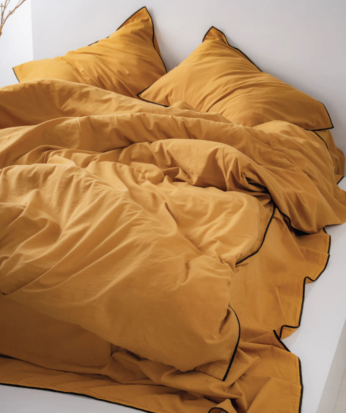 jekrana-2024-02-27-v-15.58.31